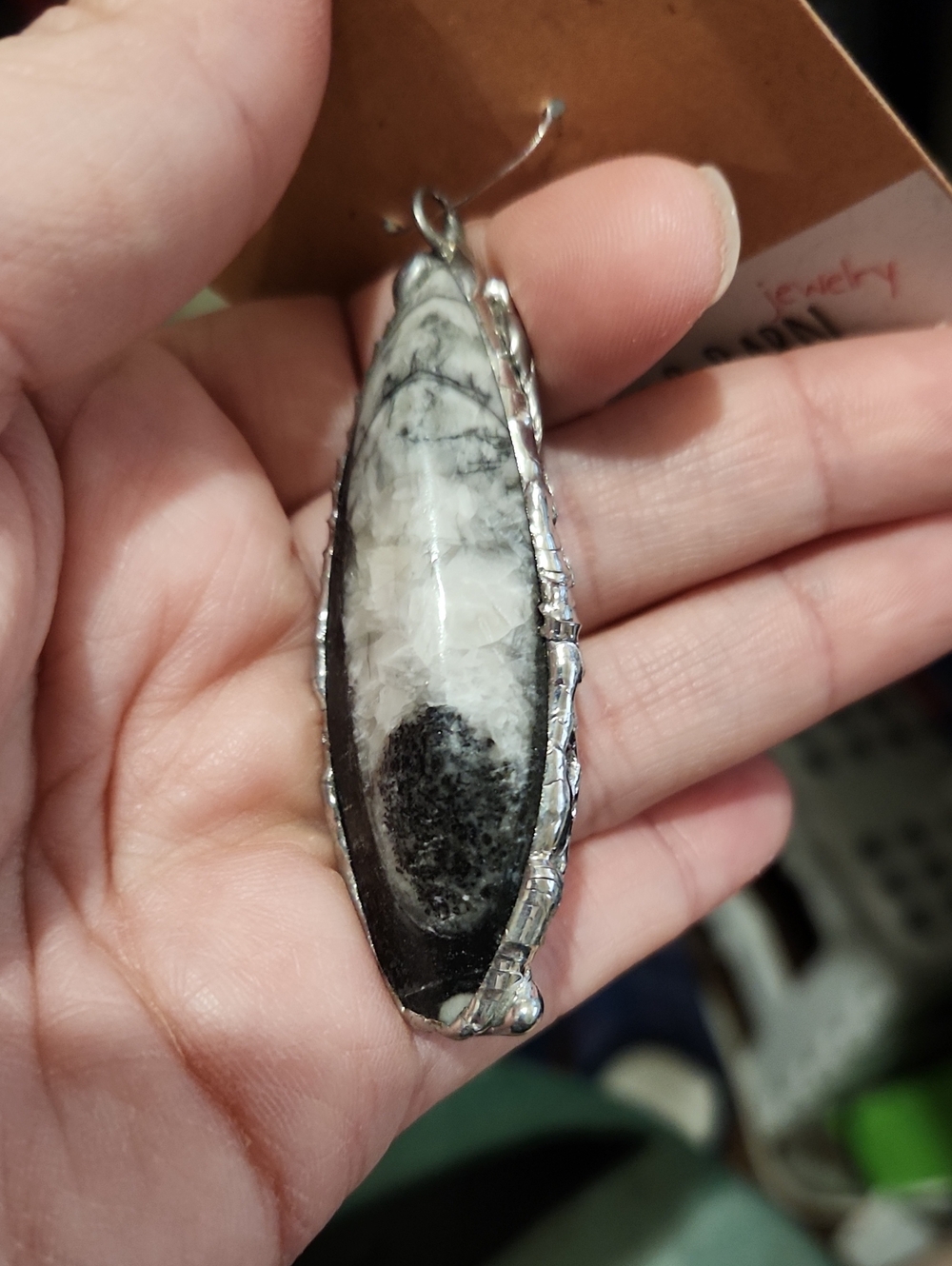 Pendant of an Orthoceras Fossil Edged in Silver